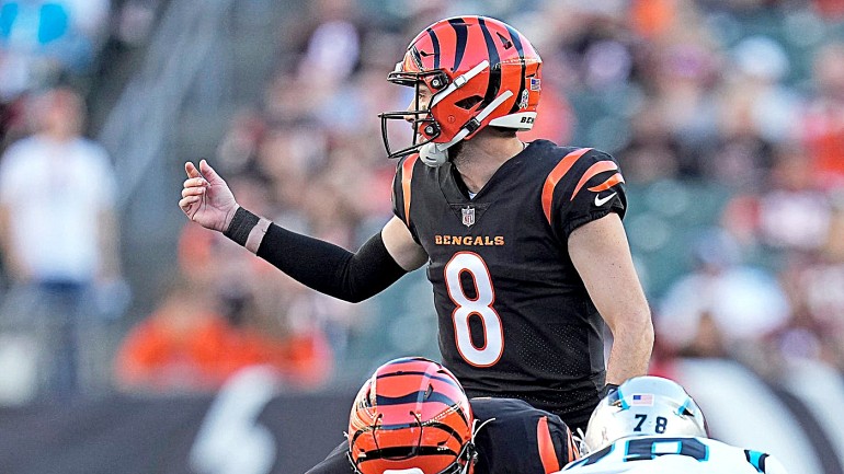 49ers signing former Bengals QB Brandon Allen | 49ers Webzone