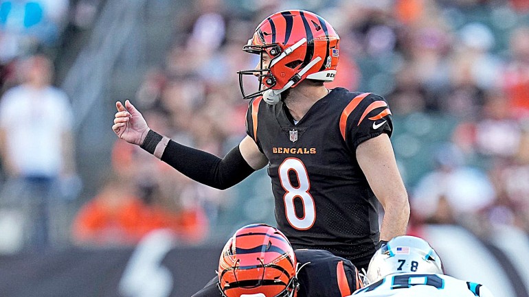 Former Bengals QB Brandon Allen agrees to terms with 49ers: Report